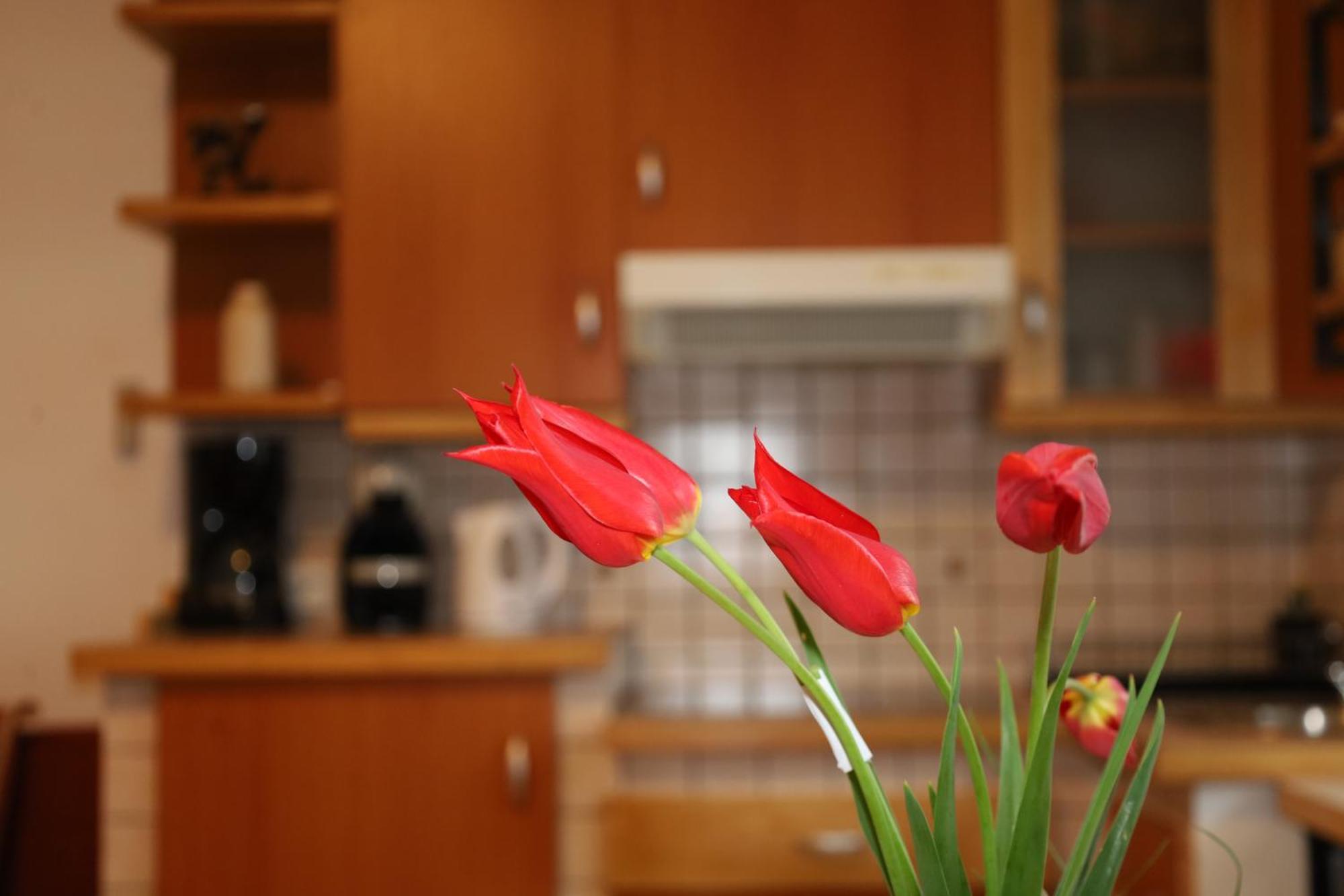 Apartment Norma Bovec Extérieur photo